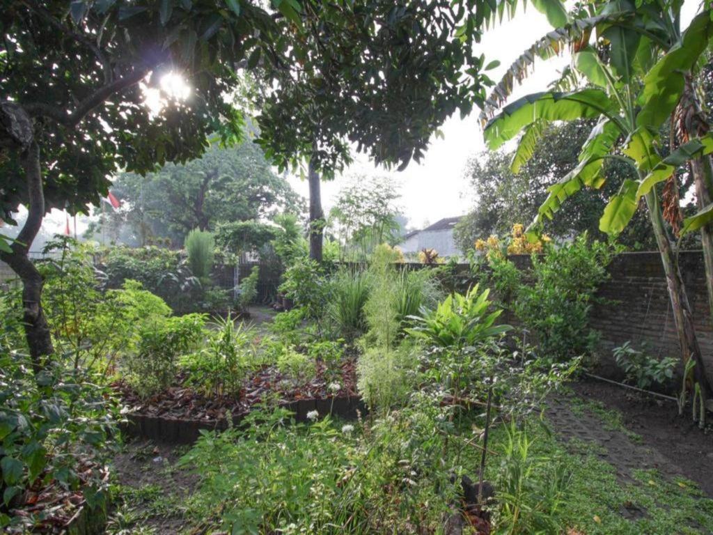 Bhumi Hostel Джокякарта Екстериор снимка